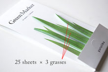 Load image into Gallery viewer, GreenMarker
